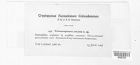 Image Associated With the Occurence